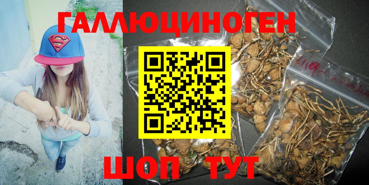 Галлюциногенные грибы Psilocybine cubensis  Вход с VPN  Лабинск 